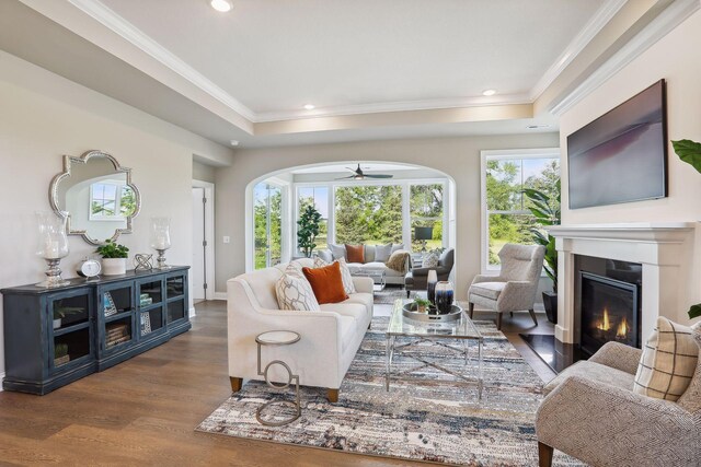 living room featuring a tray ceiling, a healthy amount of sunlight, hardwood / wood-style floors, and ceiling fan