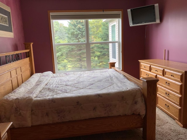 carpeted bedroom with multiple windows