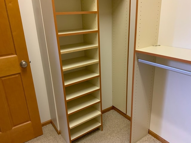 walk in closet with light colored carpet