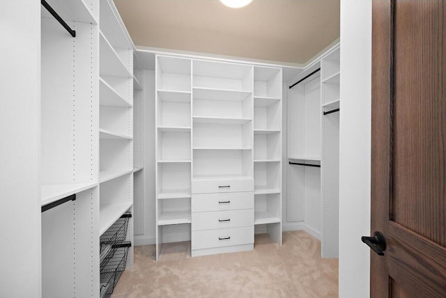 spacious closet with light colored carpet