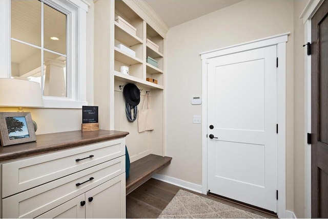 mudroom featuring dark hardwood / wood-style floors