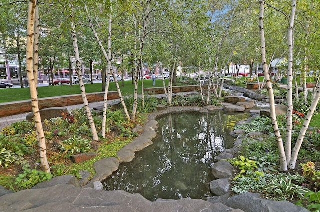 view of community featuring a small pond