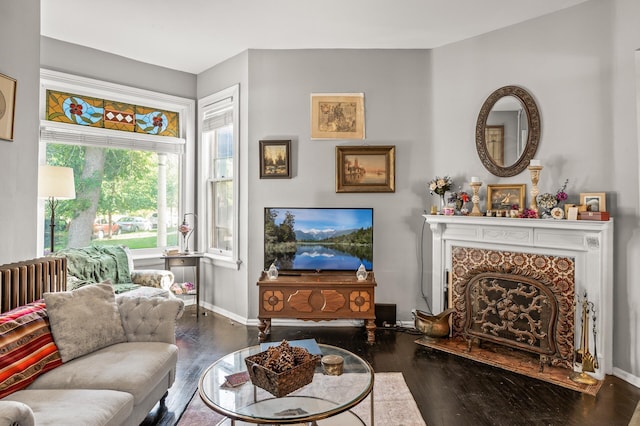 living room with hardwood / wood-style flooring