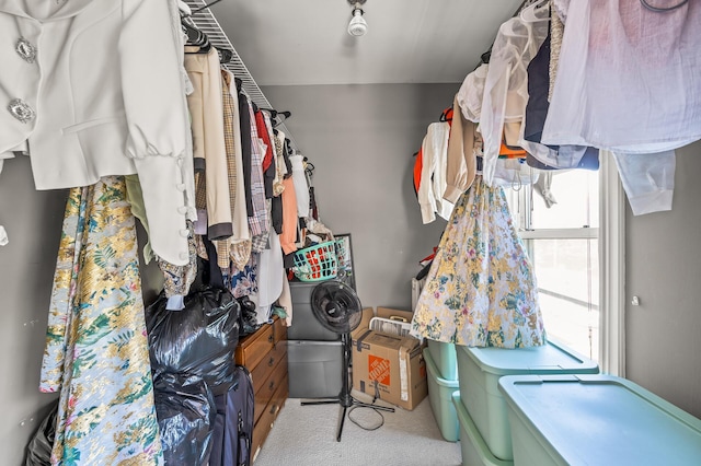 view of spacious closet