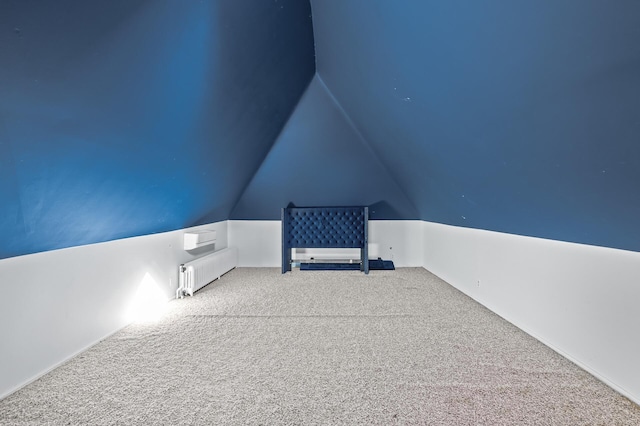 additional living space with carpet and vaulted ceiling