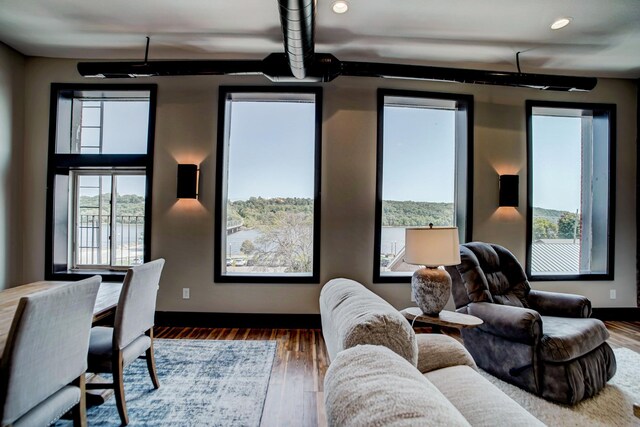 living room with wood-type flooring