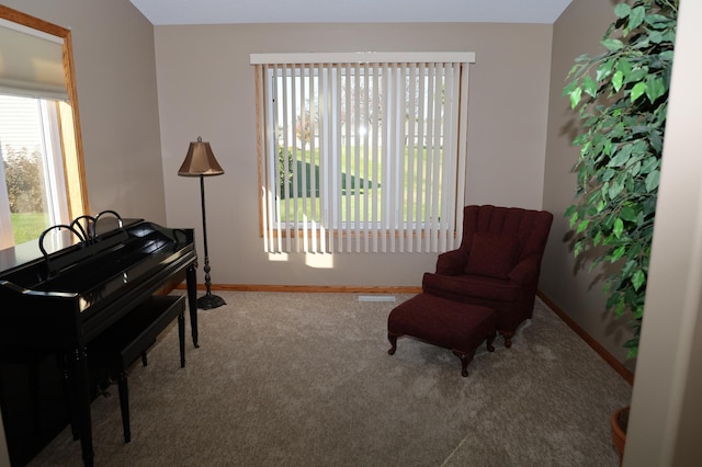 sitting room featuring carpet floors