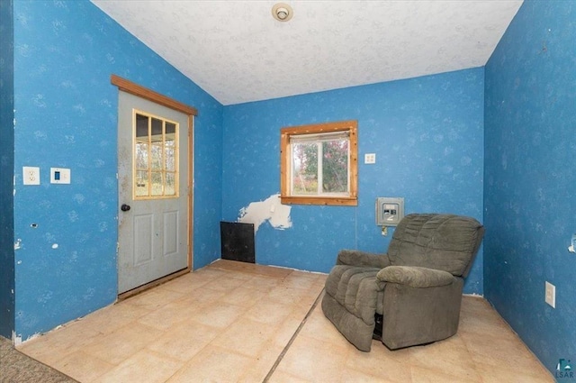 living area featuring vaulted ceiling