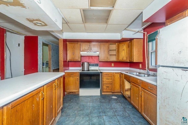 kitchen with white electric stove, sink, and a drop ceiling