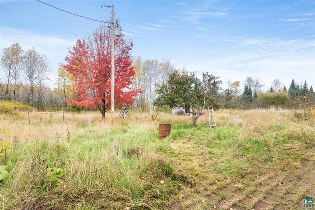 view of yard with a rural view