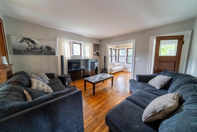 living room featuring plenty of natural light and light hardwood / wood-style floors