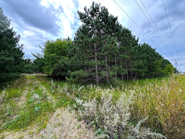 49928 County Highway 54, New York Mills, MN 56567 - photo 6