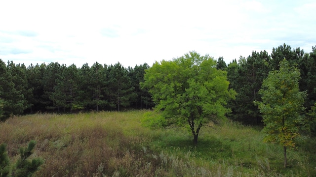 49928 County Highway 54, New York Mills, MN 56567 - photo 9