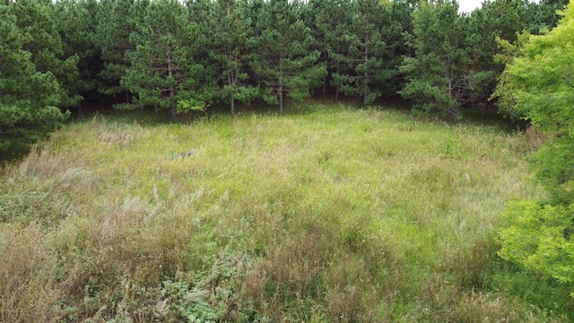 49928 County Highway 54, New York Mills, MN 56567 - photo 12