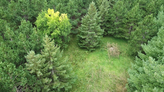 49928 County Highway 54, New York Mills, MN 56567 - photo 13