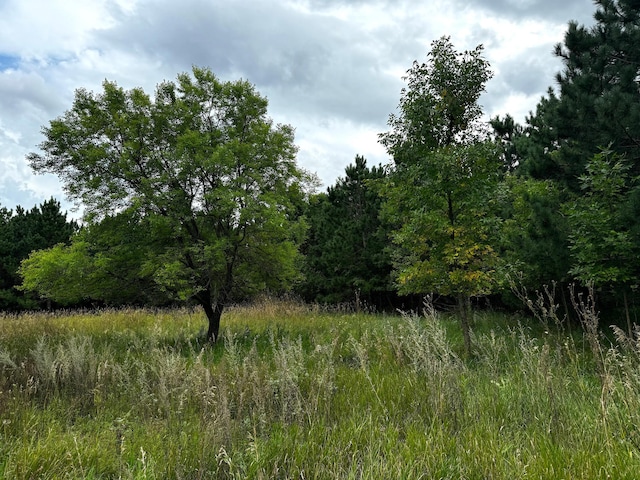 49928 County Highway 54, New York Mills, MN 56567 - photo 15
