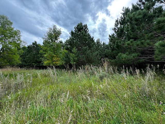 49928 County Highway 54, New York Mills, MN 56567 - photo 18