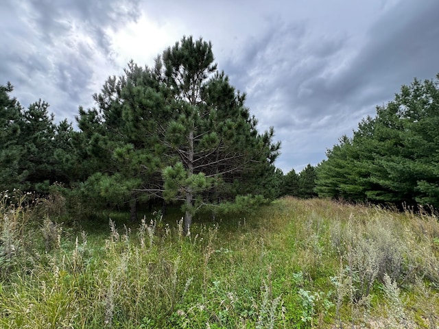 49928 County Highway 54, New York Mills, MN 56567 - photo 19