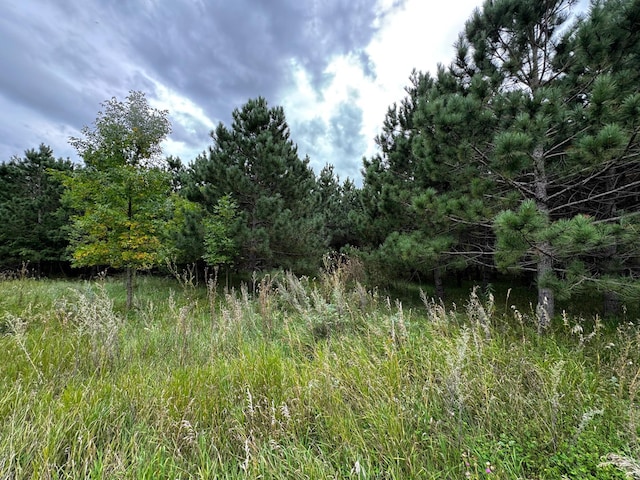 49928 County Highway 54, New York Mills, MN 56567 - photo 20