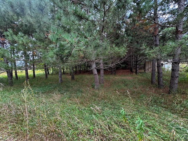 49928 County Highway 54, New York Mills, MN 56567 - photo 24