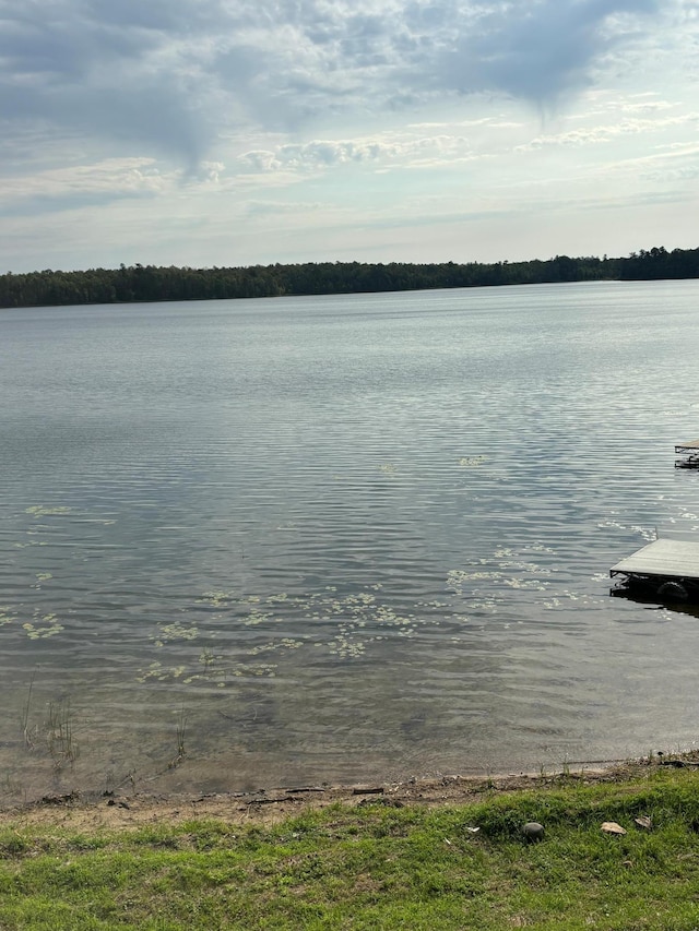 water view with a dock
