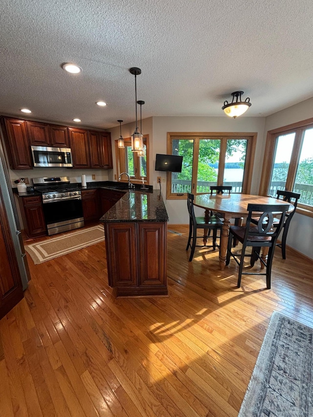 kitchen with a wealth of natural light, hanging light fixtures, light wood-type flooring, and appliances with stainless steel finishes