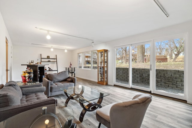 living room with light wood-type flooring and track lighting