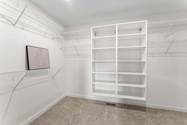 spacious closet with carpet