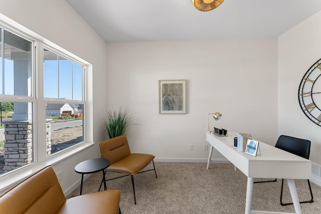 home office with light colored carpet