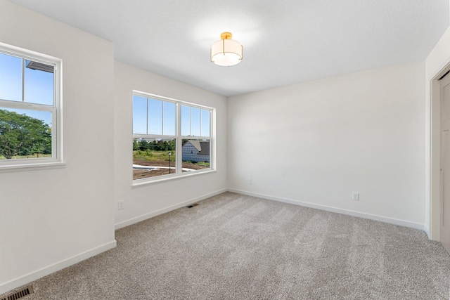 carpeted empty room featuring a wealth of natural light