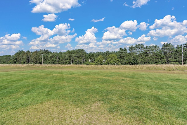 view of yard with a wooded view