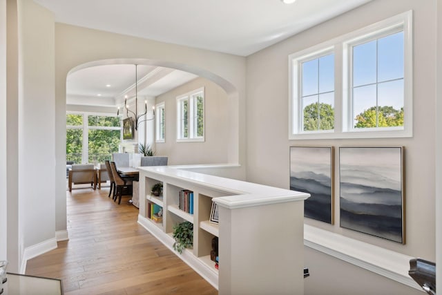 hall with a wealth of natural light, light hardwood / wood-style flooring, and a chandelier