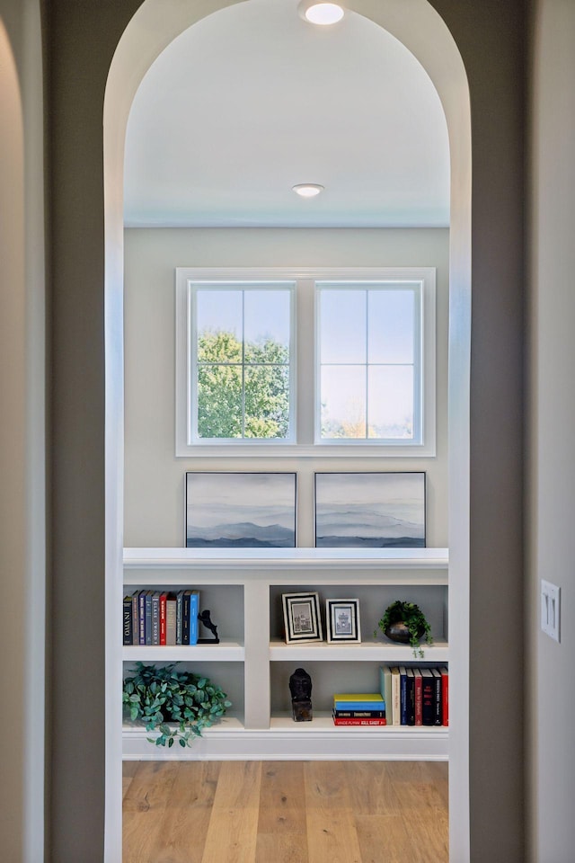 details featuring hardwood / wood-style flooring and built in shelves