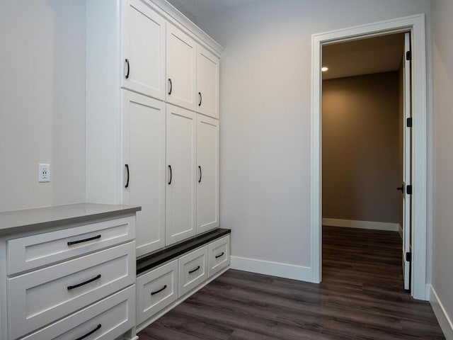 mudroom featuring dark hardwood / wood-style floors