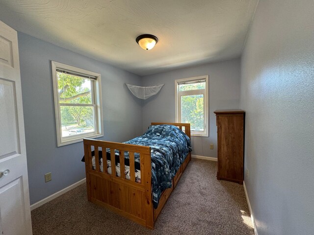 417 Pine St, Saint Peter, MN 56082 - carpeted bedroom with baseboards