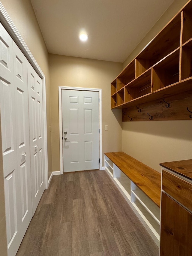 417 Pine St, Saint Peter, MN 56082 - mudroom featuring baseboards, dark wood-style flooring, and recessed lighting