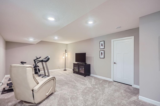 living area with a textured ceiling and carpet floors