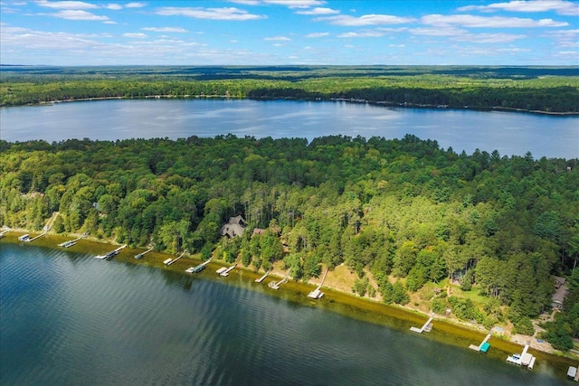 aerial view featuring a water view and a wooded view