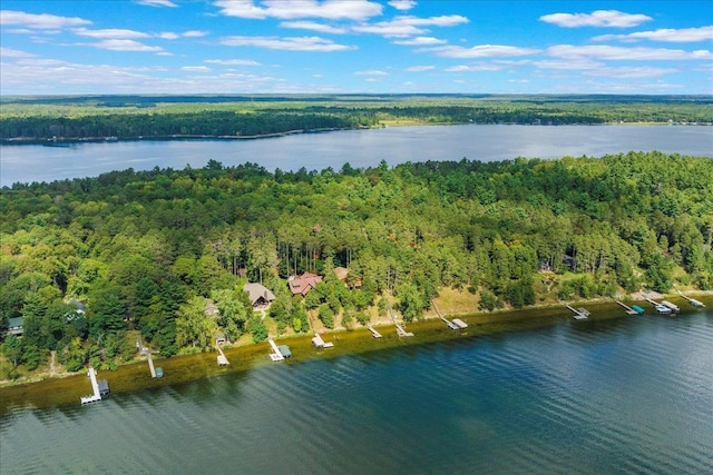 bird's eye view featuring a forest view and a water view