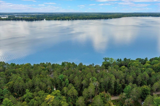 bird's eye view featuring a forest view and a water view