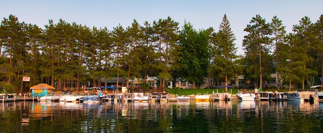 property view of water featuring a boat dock