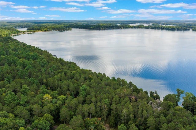 bird's eye view featuring a view of trees and a water view