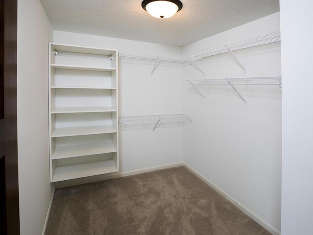 spacious closet with carpet