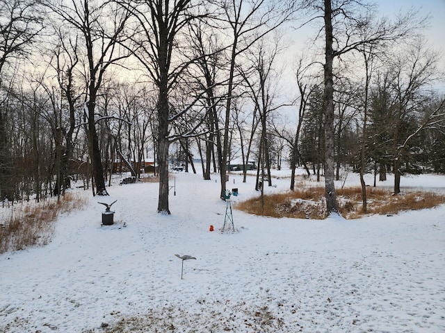 view of snowy yard