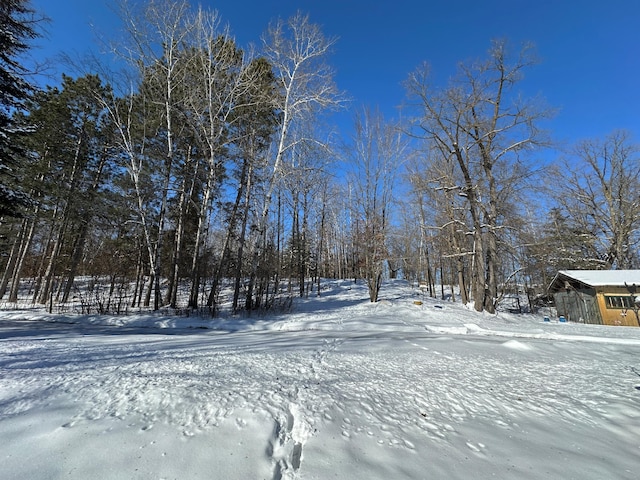 view of yard layered in snow