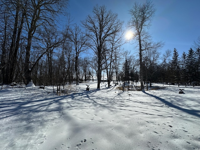 view of yard covered in snow