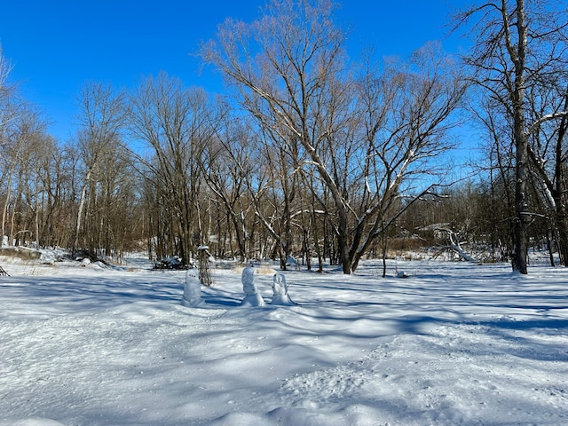 view of snowy yard