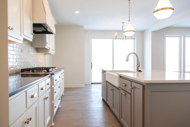 kitchen featuring appliances with stainless steel finishes, a healthy amount of sunlight, a sink, an island with sink, and premium range hood