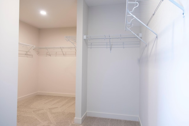 spacious closet featuring carpet floors