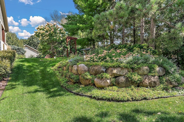 view of yard featuring a pergola